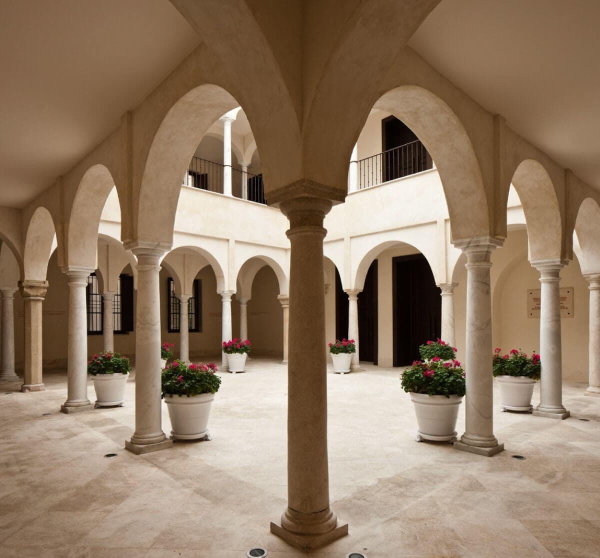 Visitas exclusivas para Amigos del Museo al yacimiento arqueológico