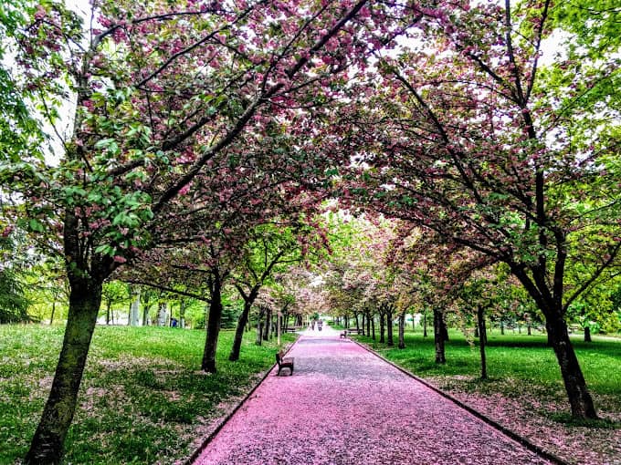 Parque de San Martín