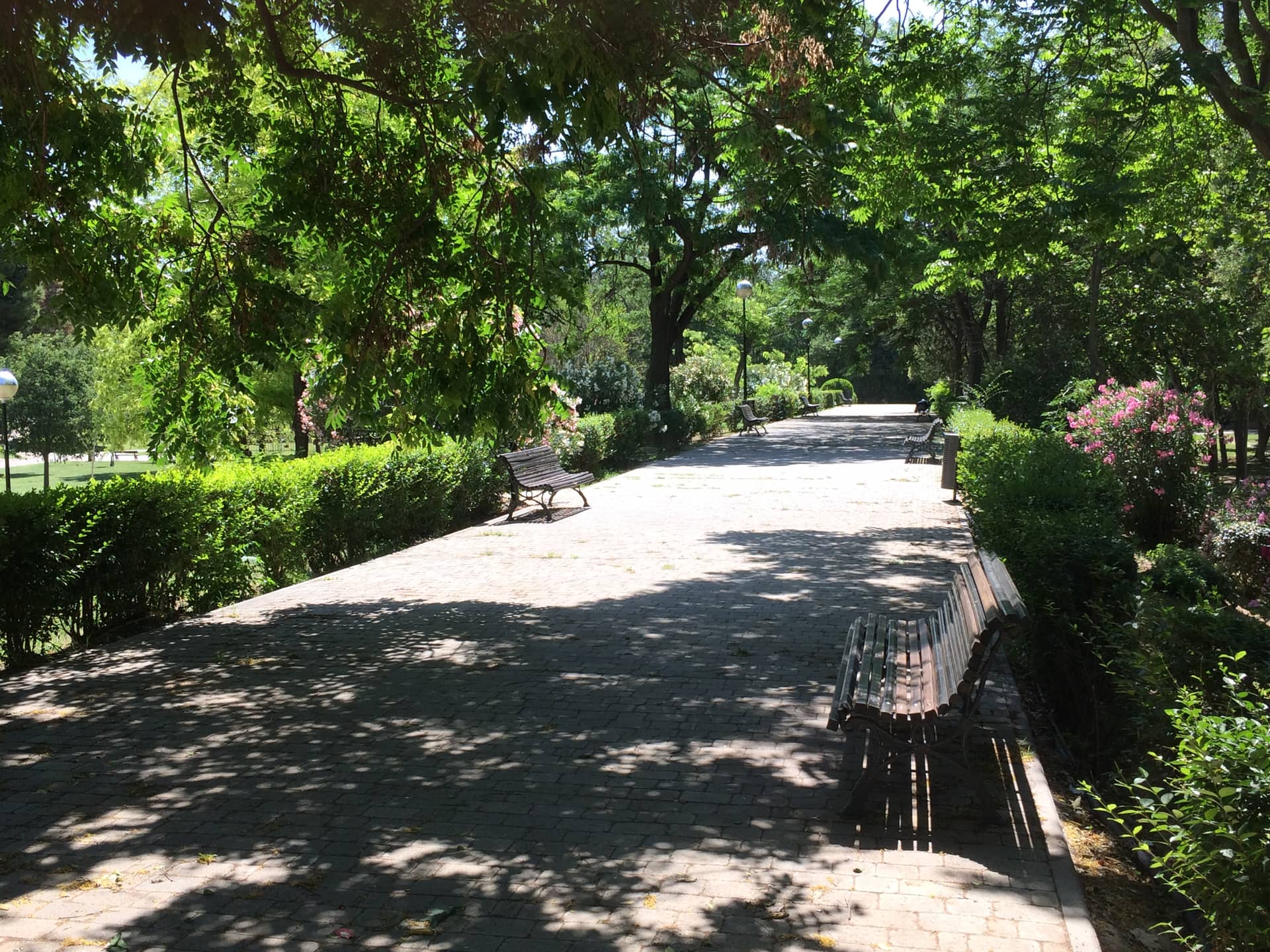 Parque Bruil