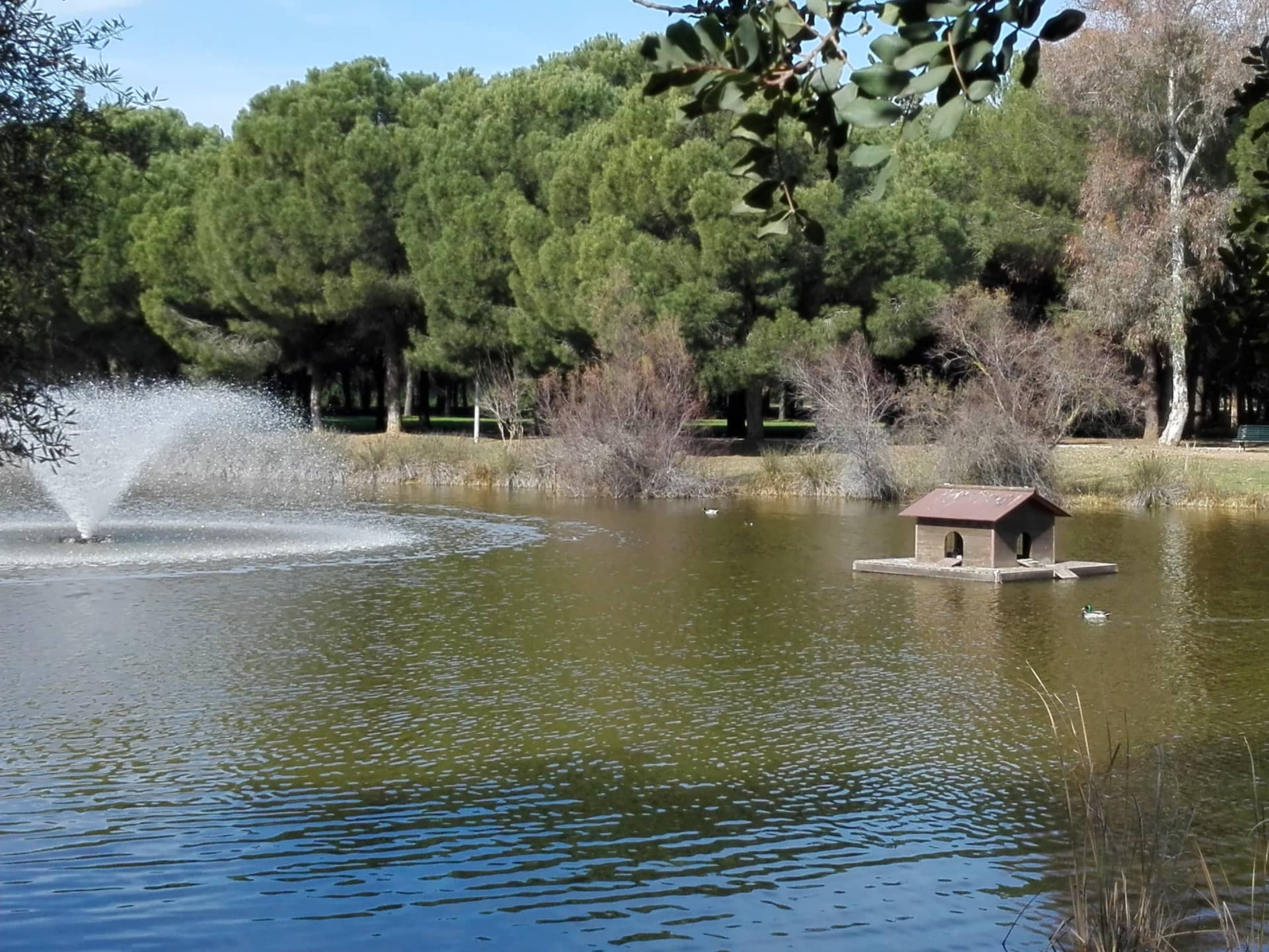 Parque Infanta Elena