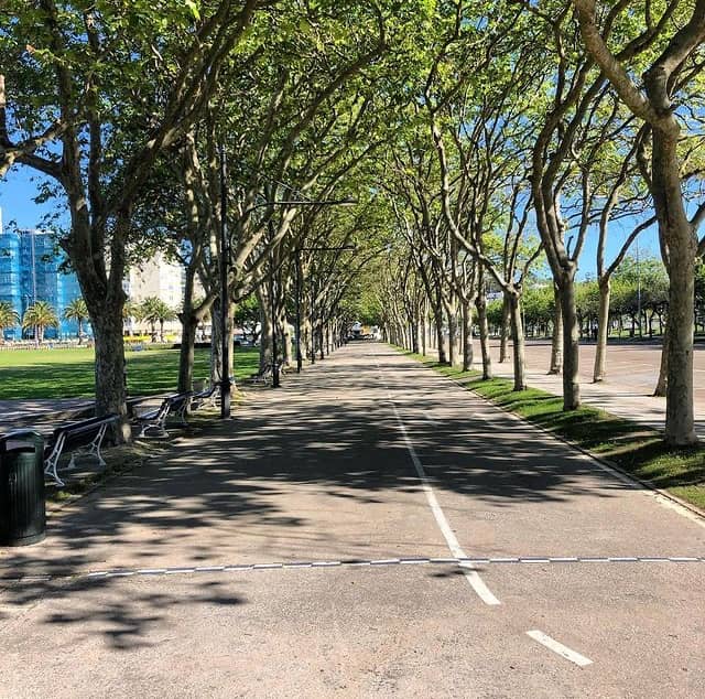 Parque Doctor Mesones