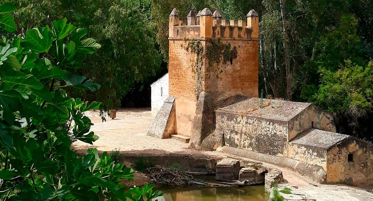 Los Molinos de Alcalá Bajo la Luna Llena