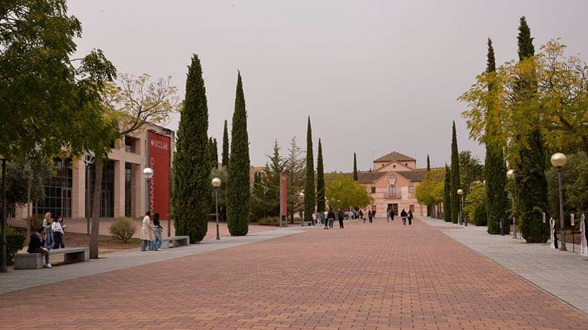 Paseo del Rectorado