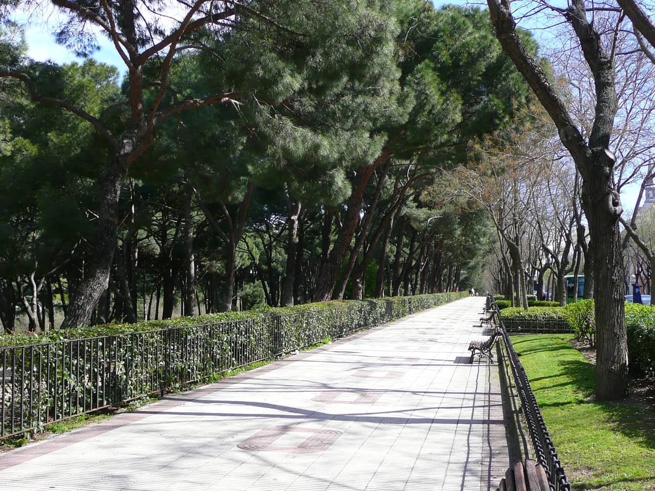 Paseo del Pintor Rosales