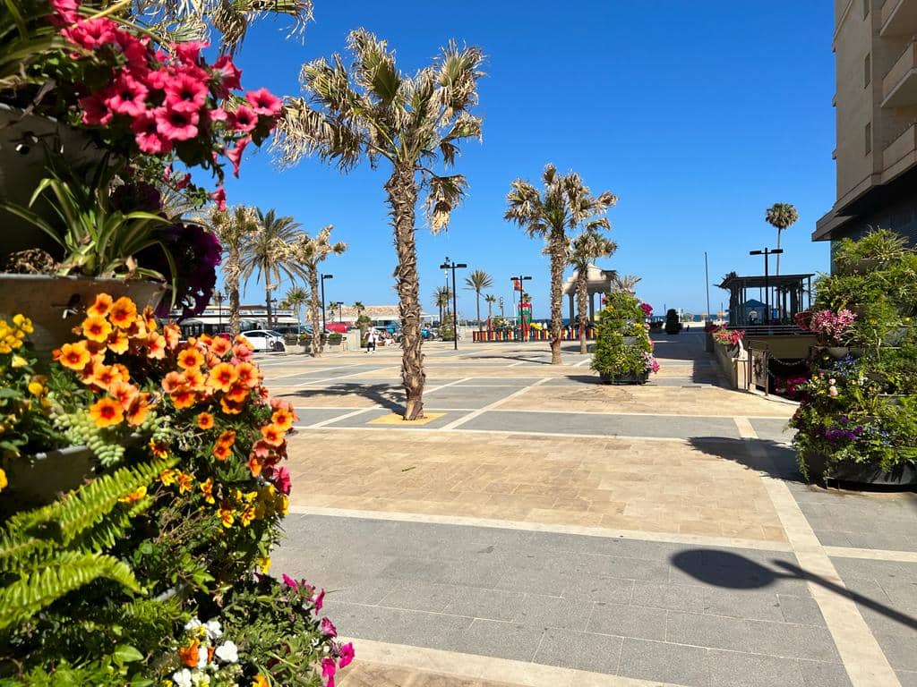 Plaza Pedro Cuevas