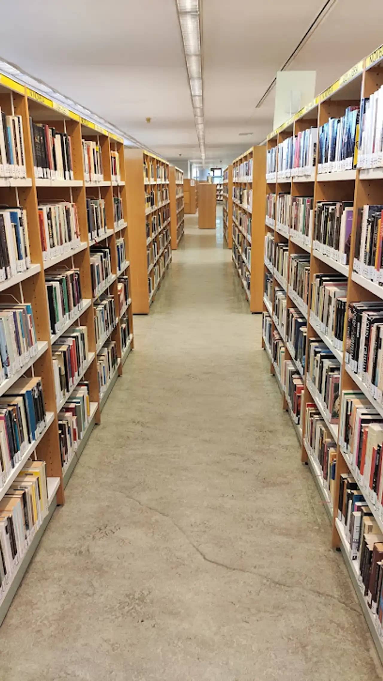 Bibliotecas Municipales de Fuenlabrada