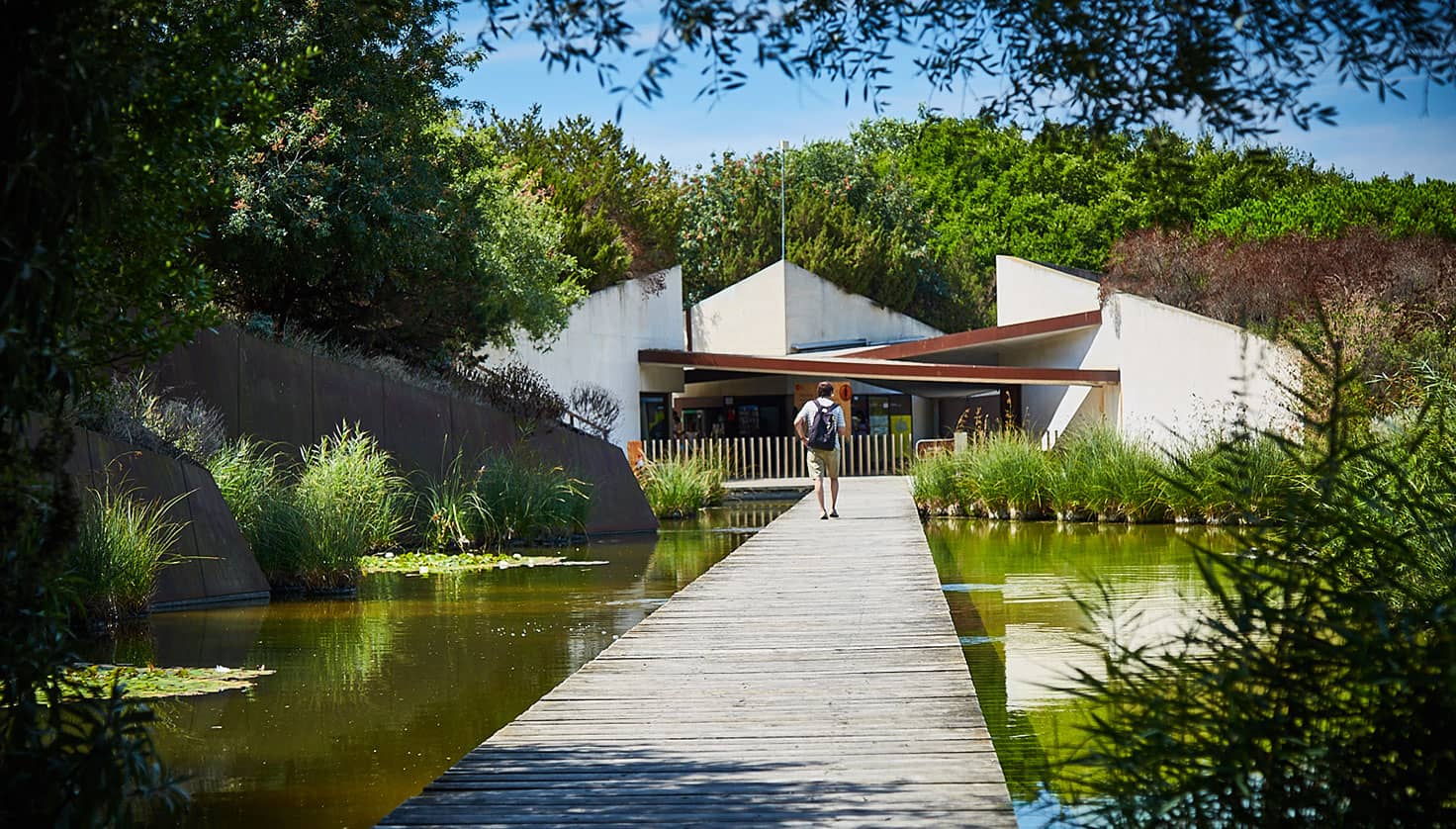 Jardí Botànic de Barcelona