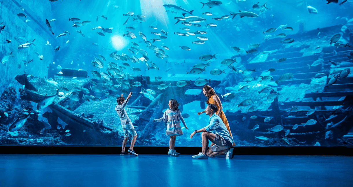 Curso de reptiles y anfibios