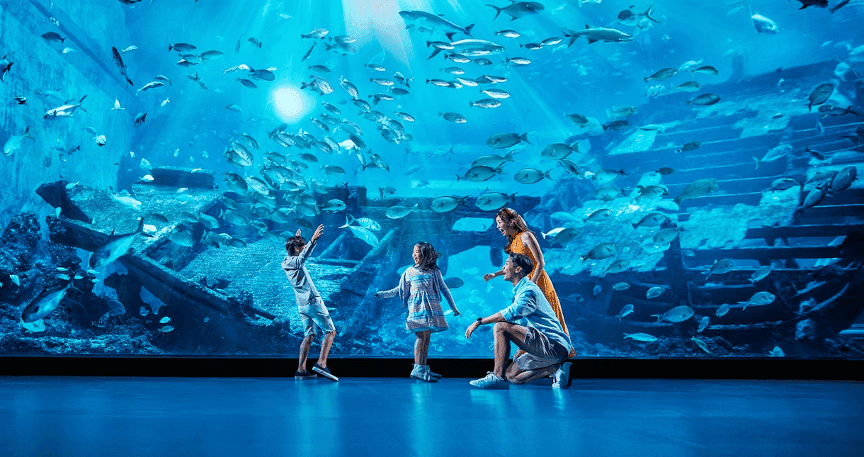 Curso de reptiles y anfibios