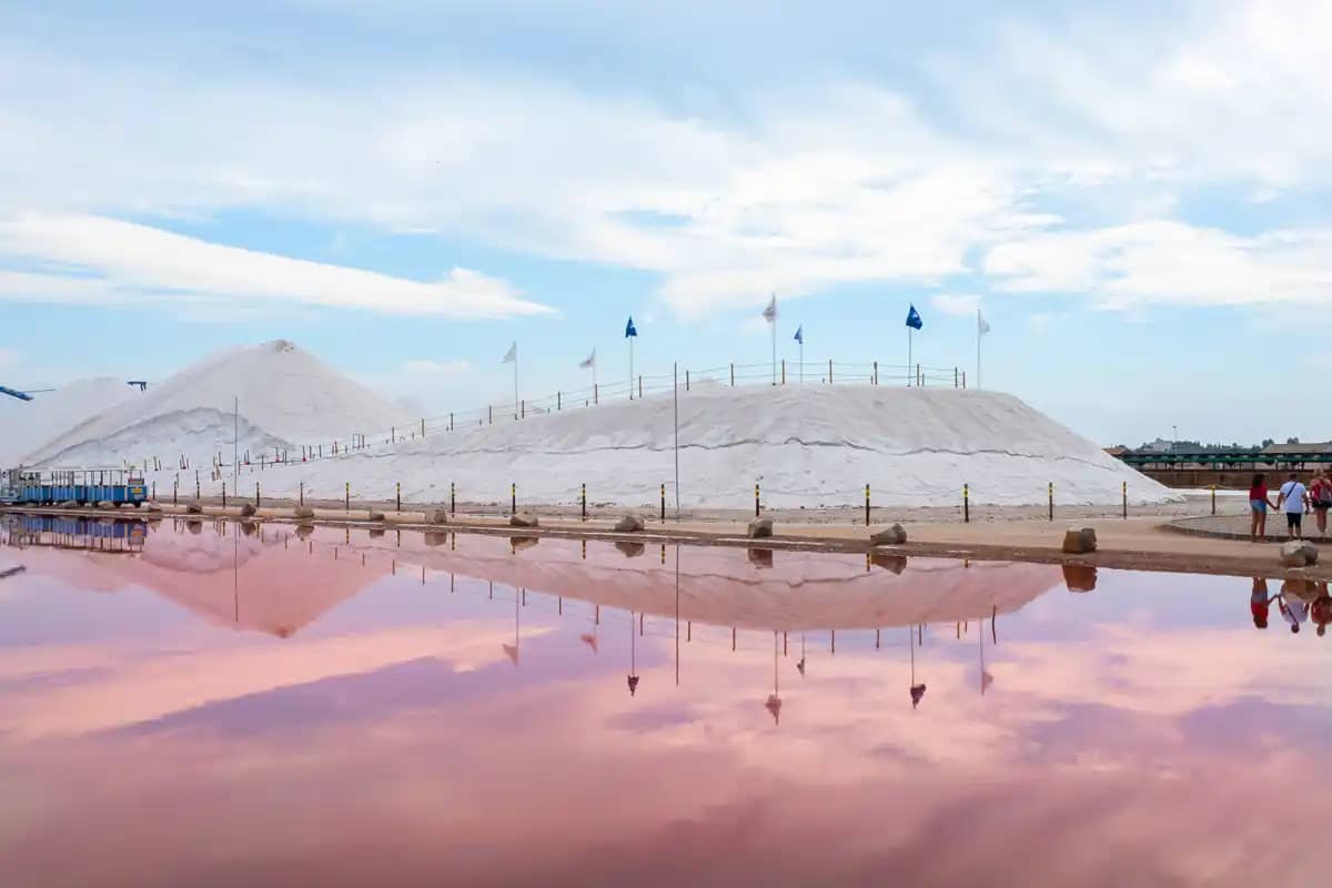 Salinas de Torrevieja