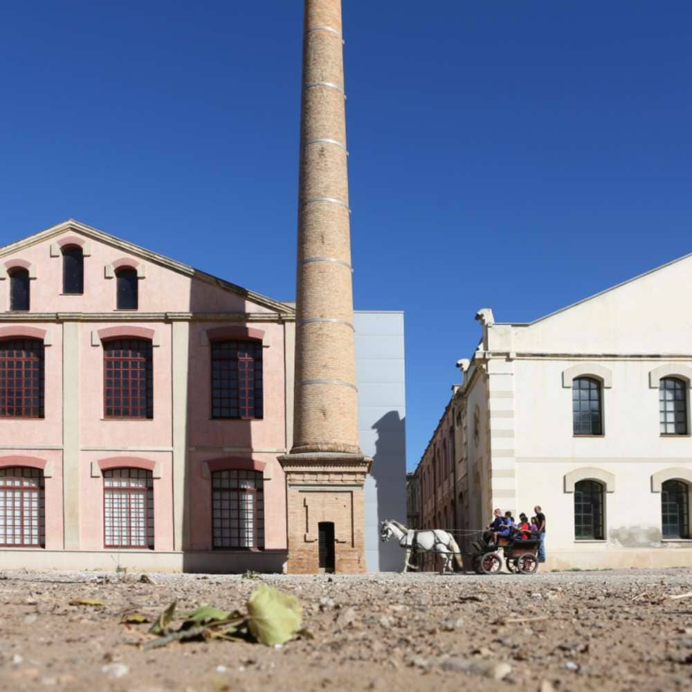 Museu de la Pell d'Igualada i Comarcal d'Anoia