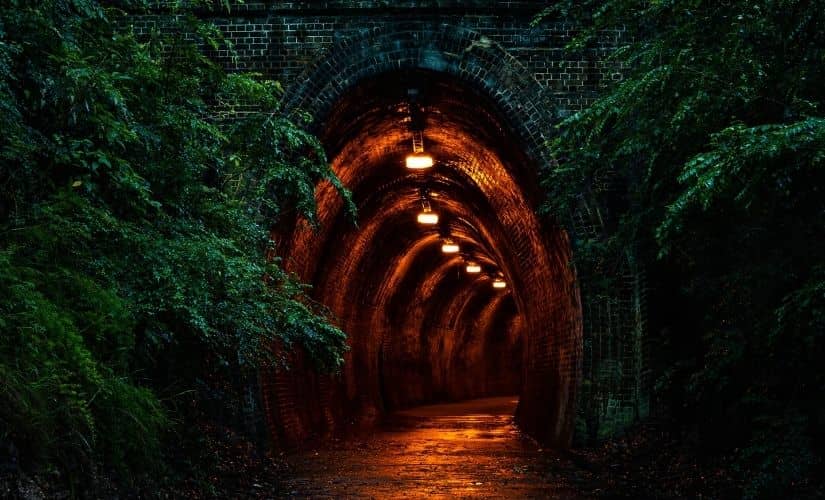 Fernleigh Track