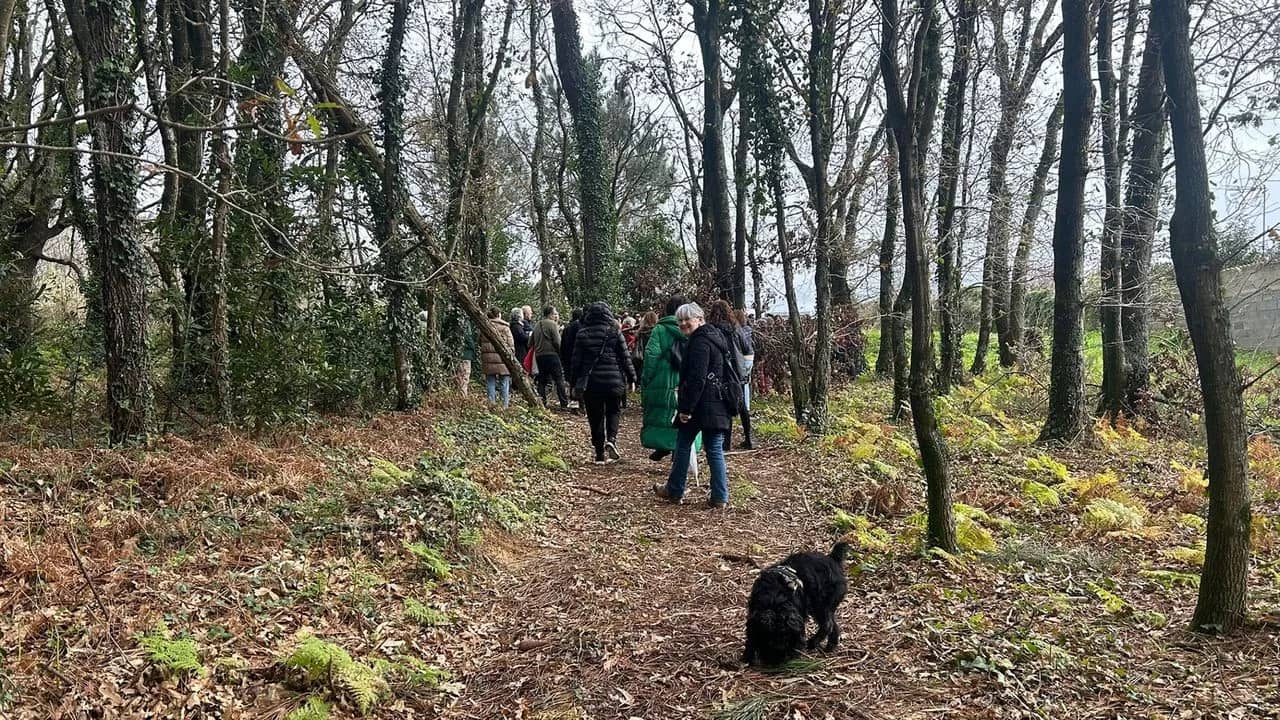 Carballeira de A Barroca