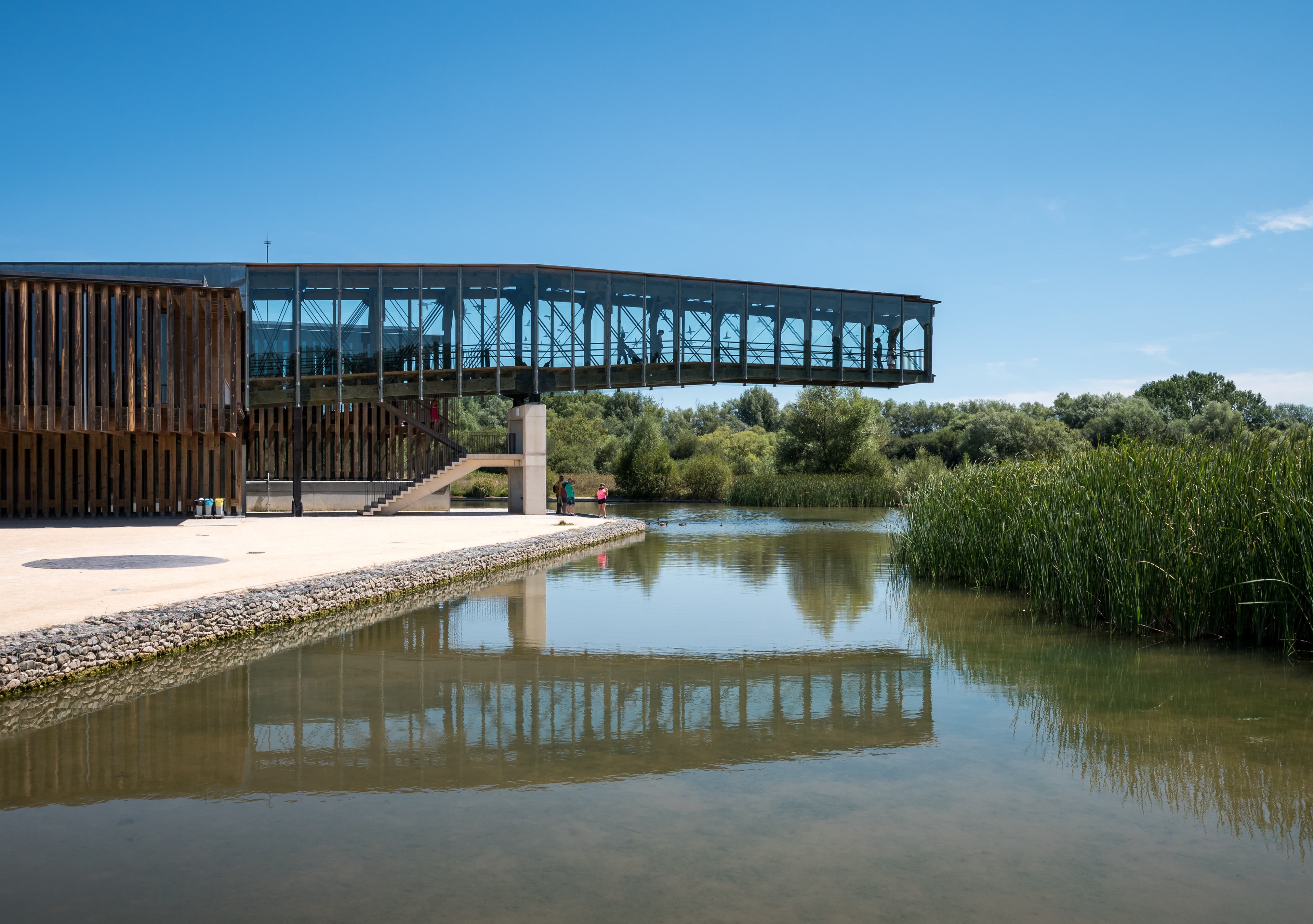Taller: Identificación de plumas