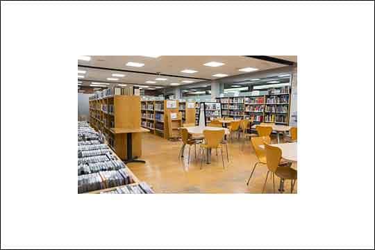 Sororidad para mujeres, creando puentes