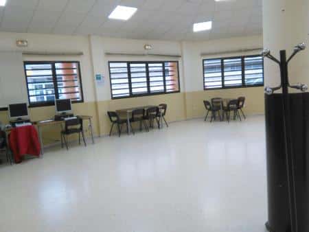 Charla informativa sobre la avispa asiática