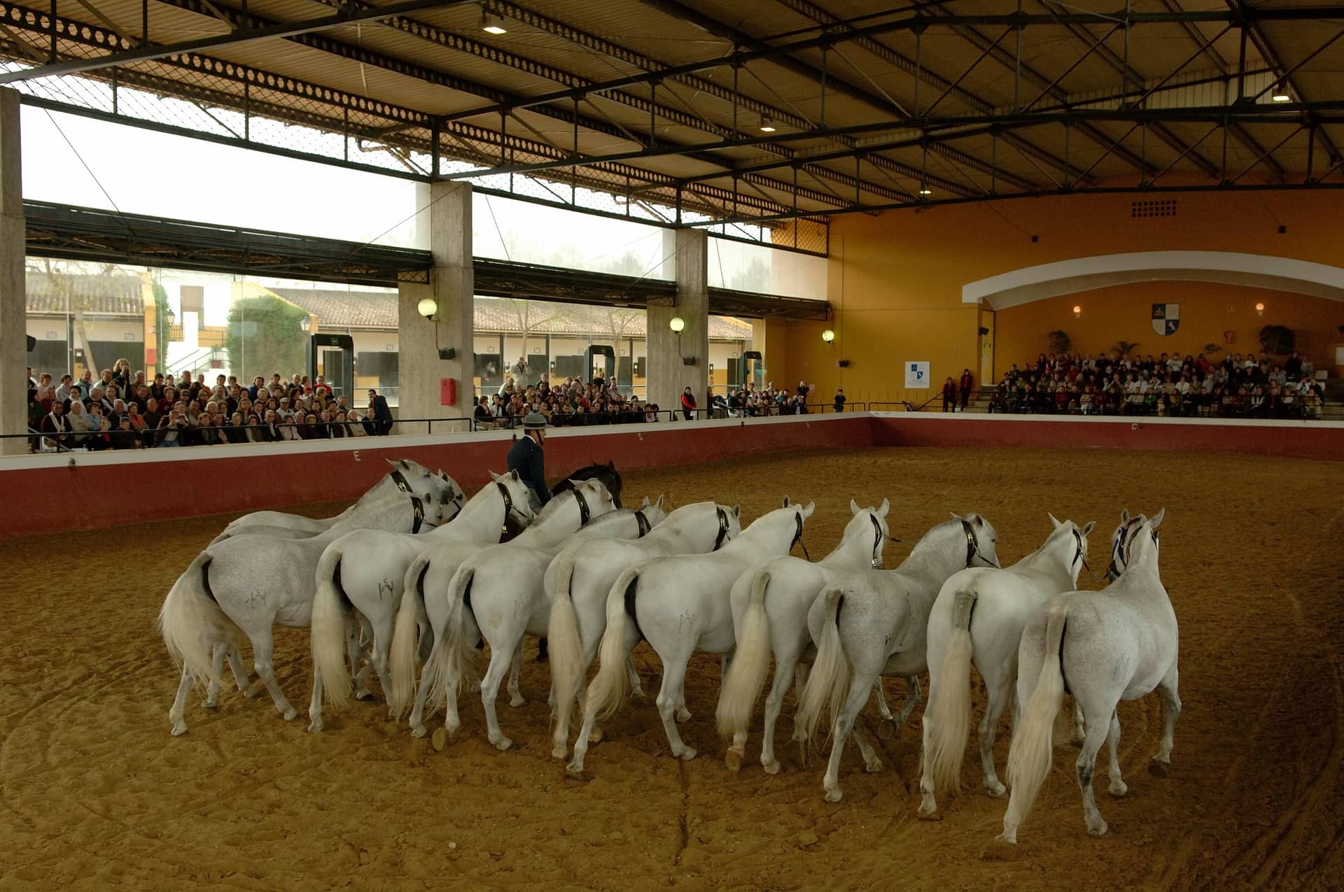 Yeguada La Cartuja - Hierro del Bocado
