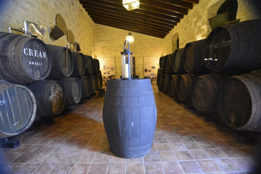 Visita histórica y degustación en Viña Santa Petronila