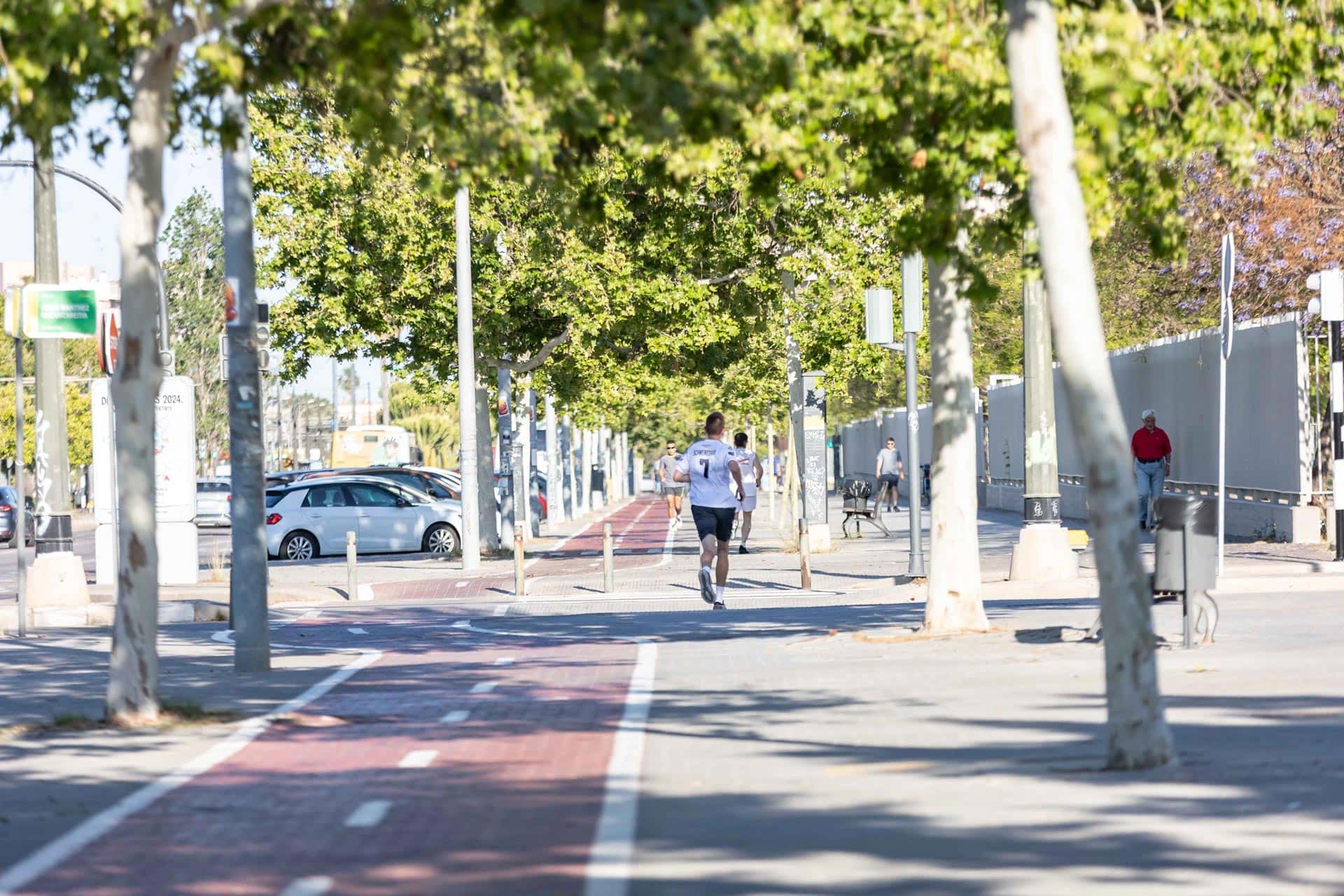 Medio Maratón Trinidad Alfonso Zurich 2026