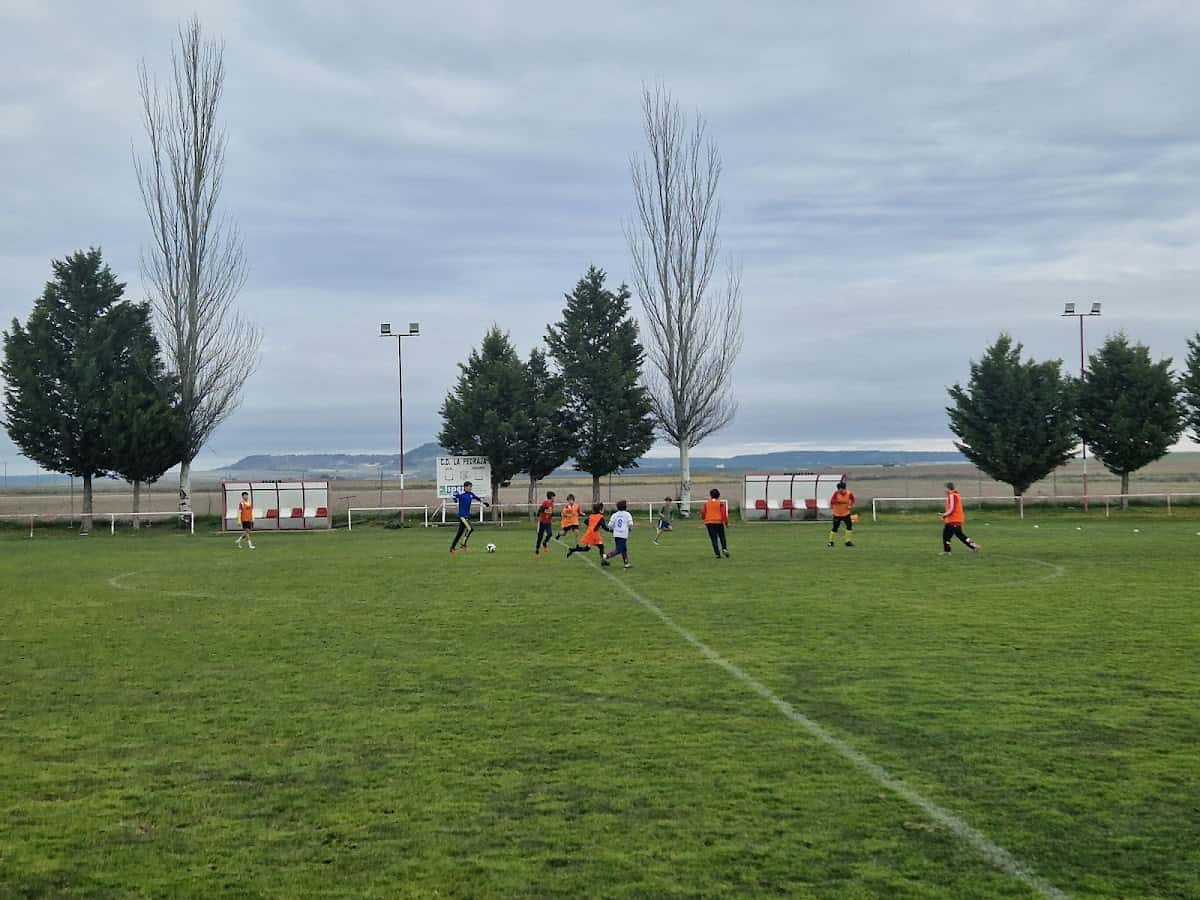 Carrera y marcha solidaria Día de Castilla y León en Valladolid