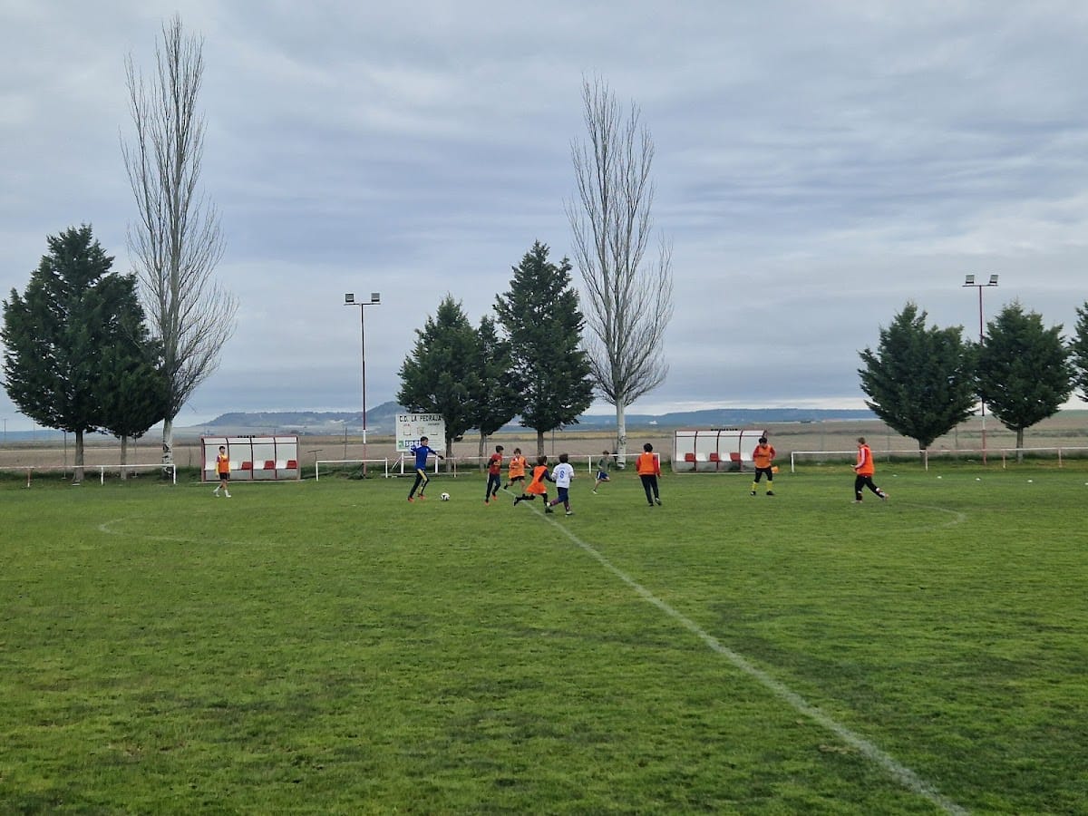 Carrera y marcha solidaria D铆a de Castilla y Le贸n en Valladolid