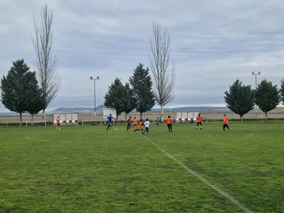 Campos de Fútbol Ribera de Castilla