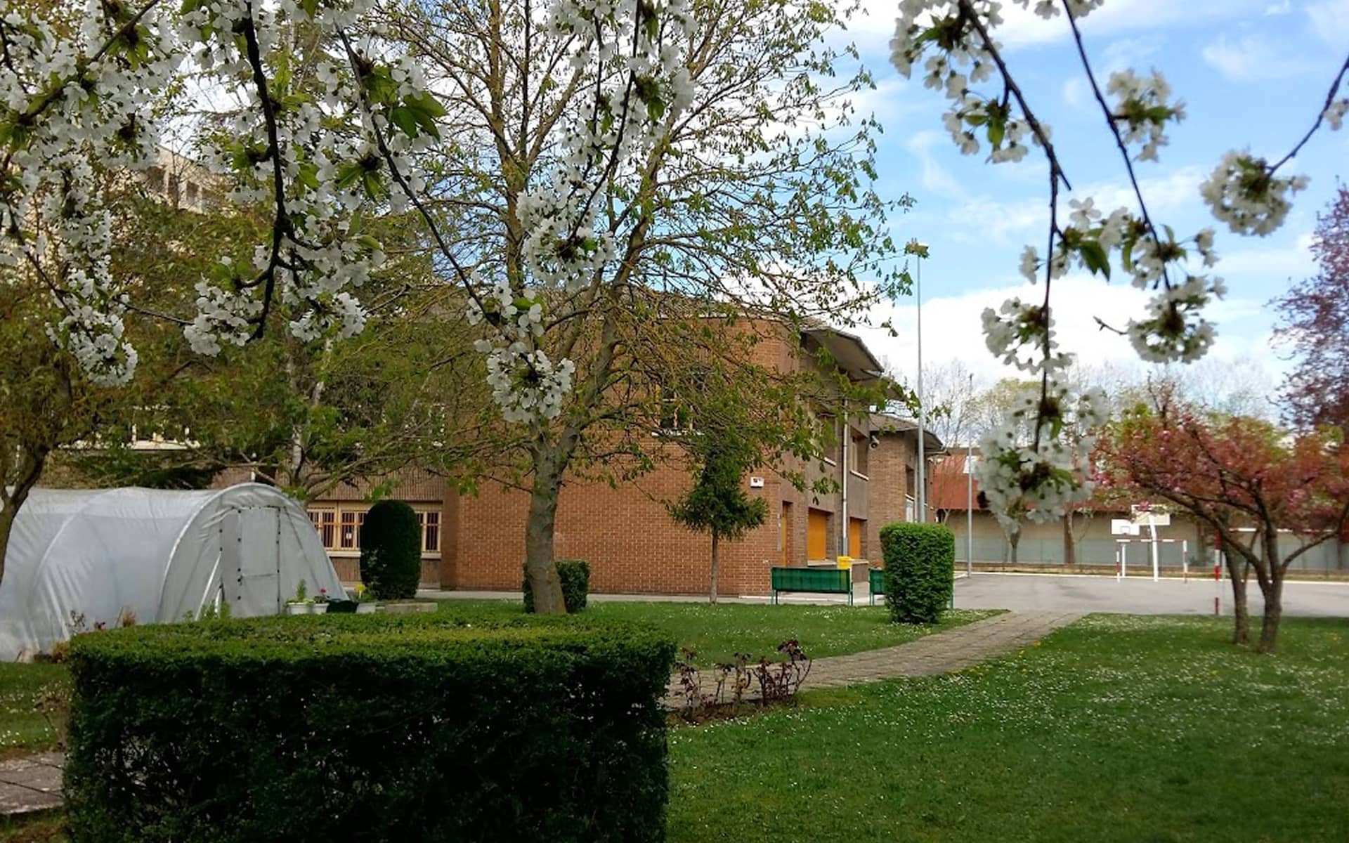Colegio Paula Montal Ikastetxea