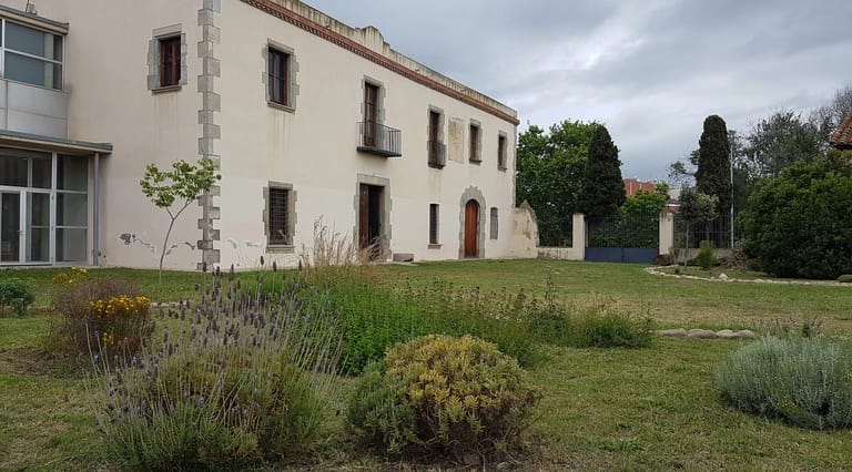 Els rèptils al jardí de Can Boet