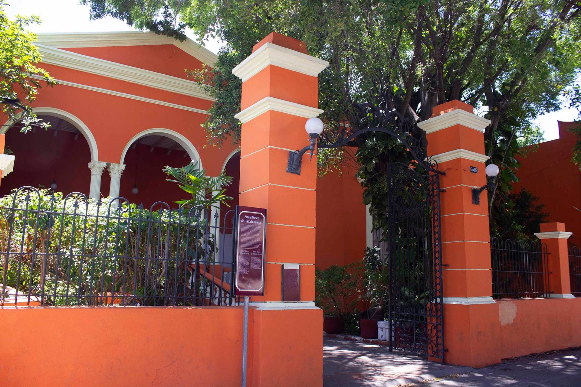 Museo de Historia Natural