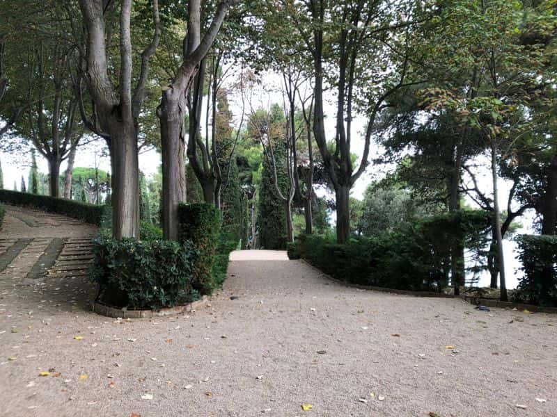 Activitats de la Comissió de Festes del Parc