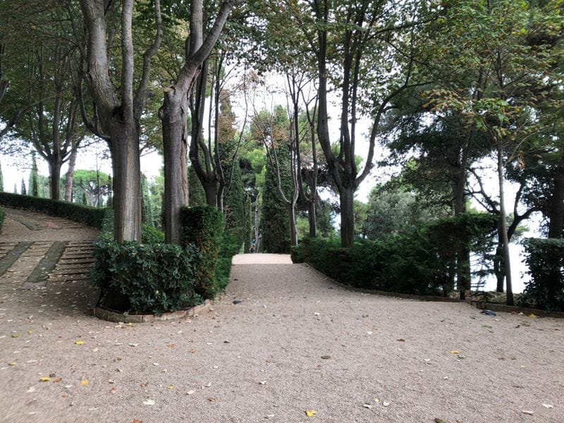 Activitats de la Comissió de Festes del Parc