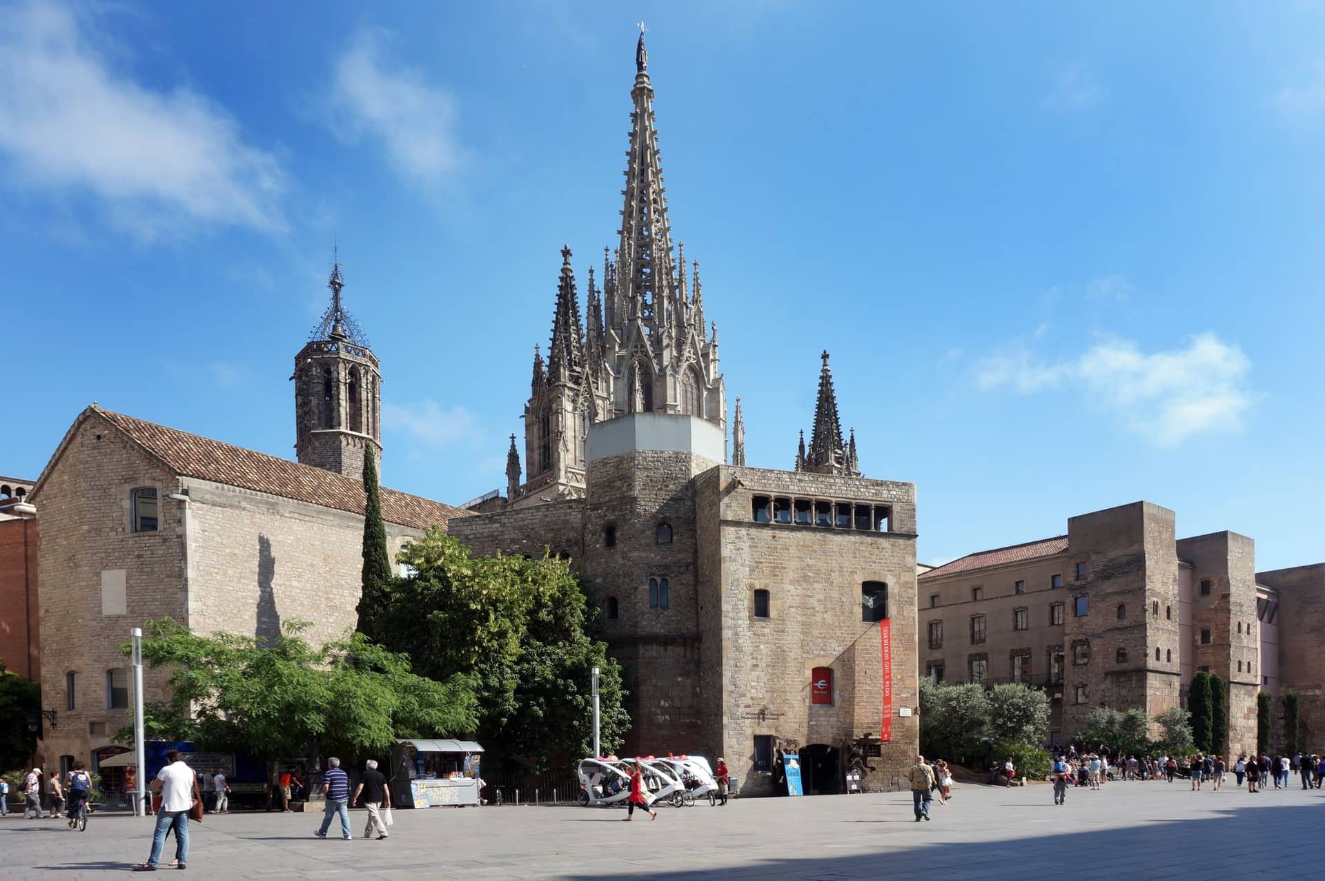 Avinguda de la Catedral