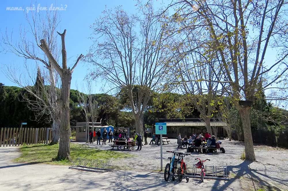 Día Mundial de las Aves en Viladecans