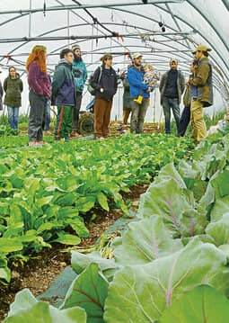 Centro de Empresas Agroecológicas Basaldea