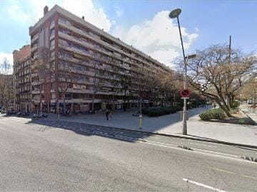 Aldafarra'26: celebració dels 19 anys del cau Aldaia
