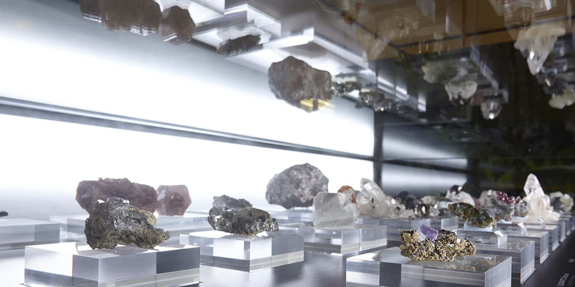 Visita guiada gratuita: Museo de Ciencias Naturales de Álava