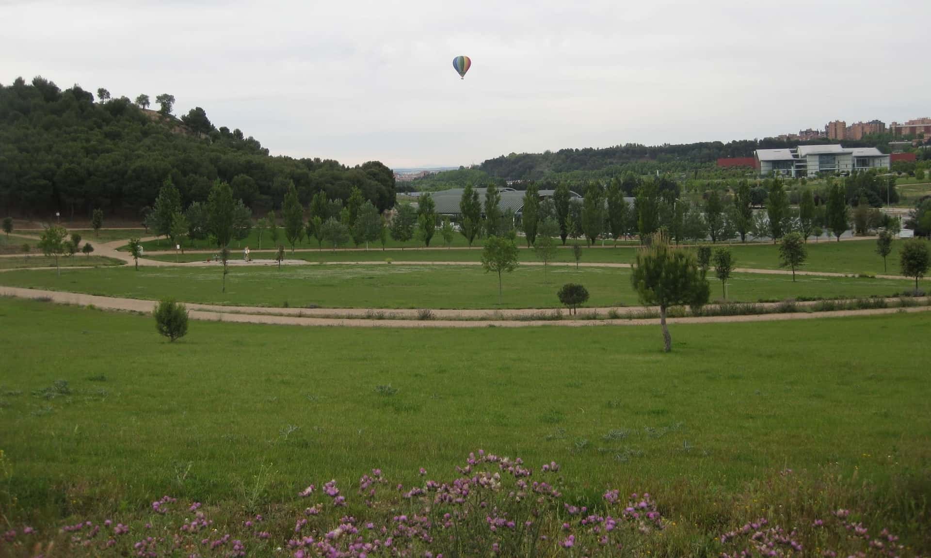 III Edición de Canicross Valladolid 2026