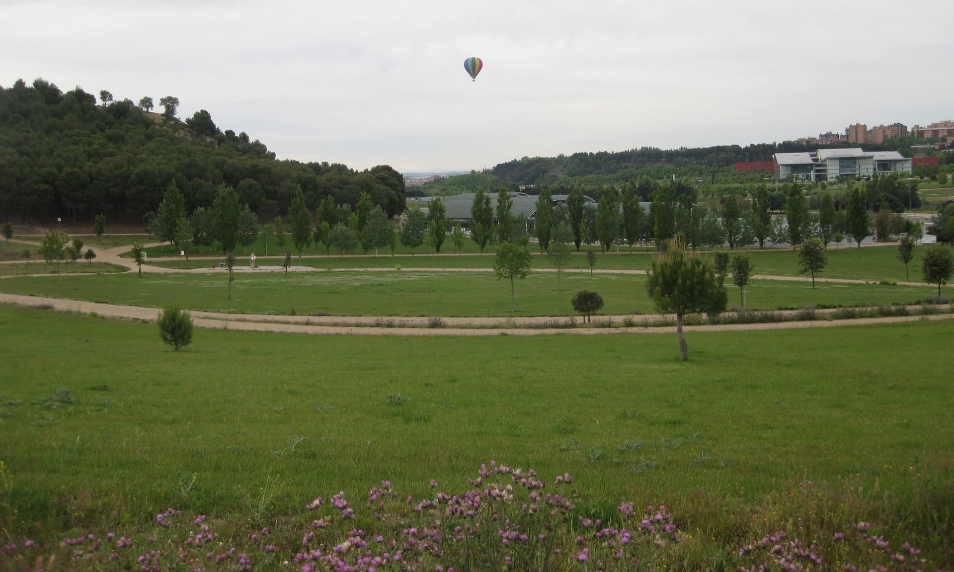 III Edición de Canicross Valladolid 2026