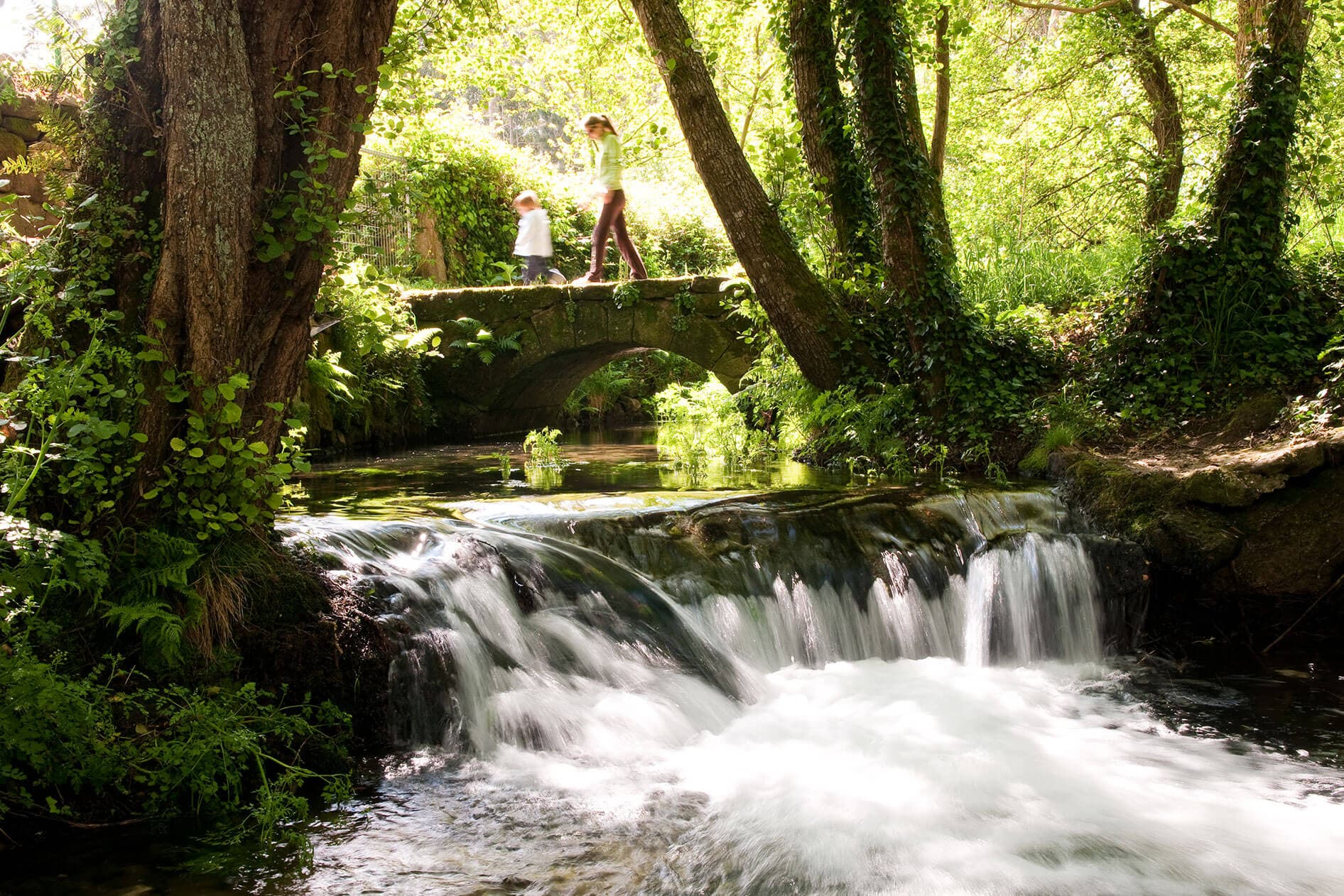 As Brañas del río Tomeza