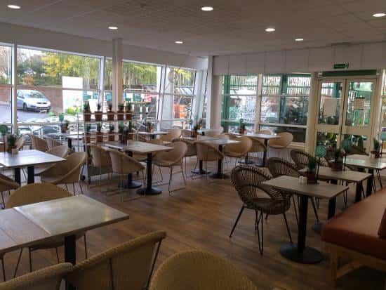 Afternoon Tea at Dobbies