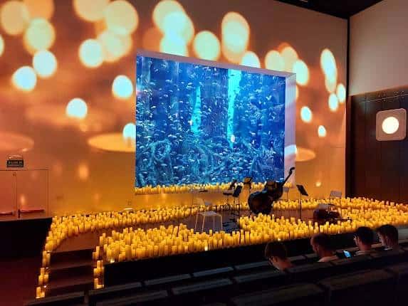 Candlelight: Tributo a la Oreja de Van Gogh