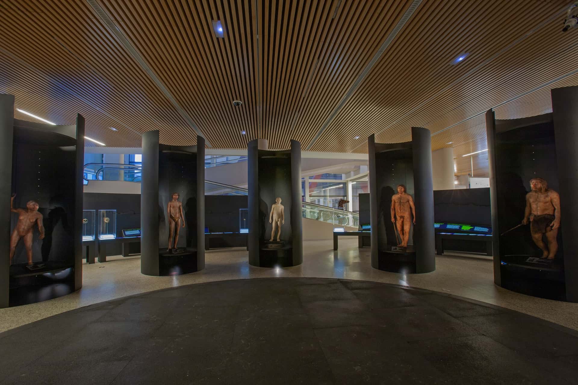 Bienal Burgos