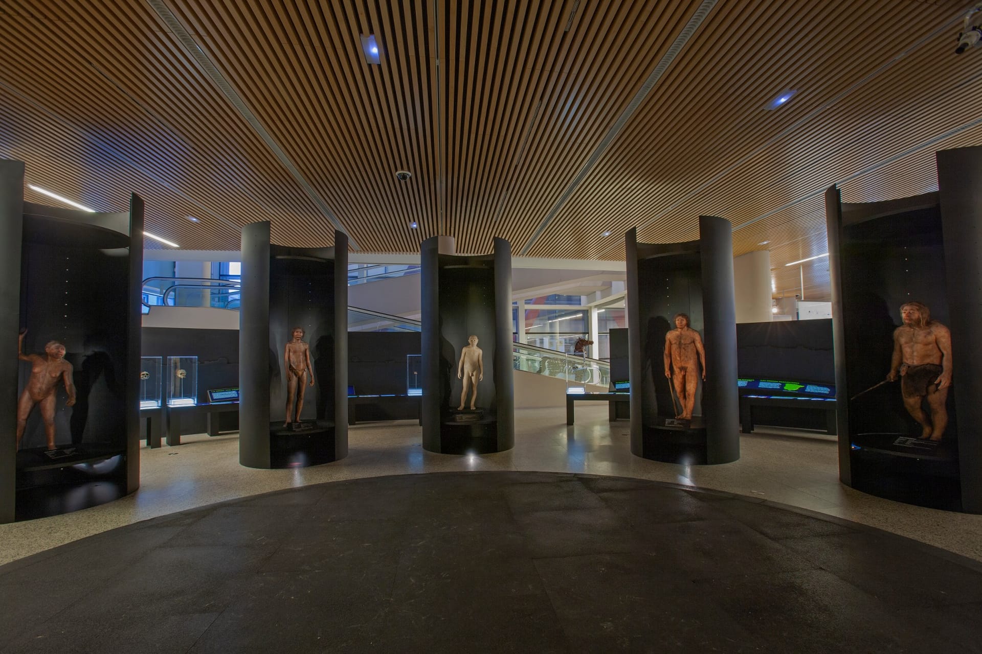 Bienal Burgos