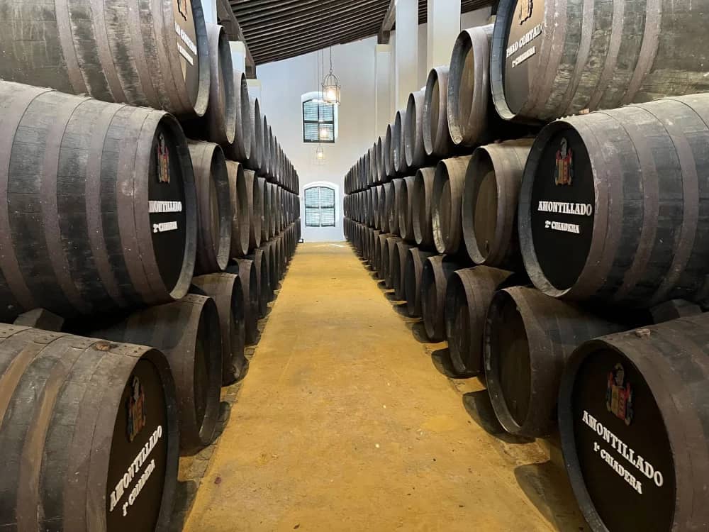 Bodegas Cayetano del Pino