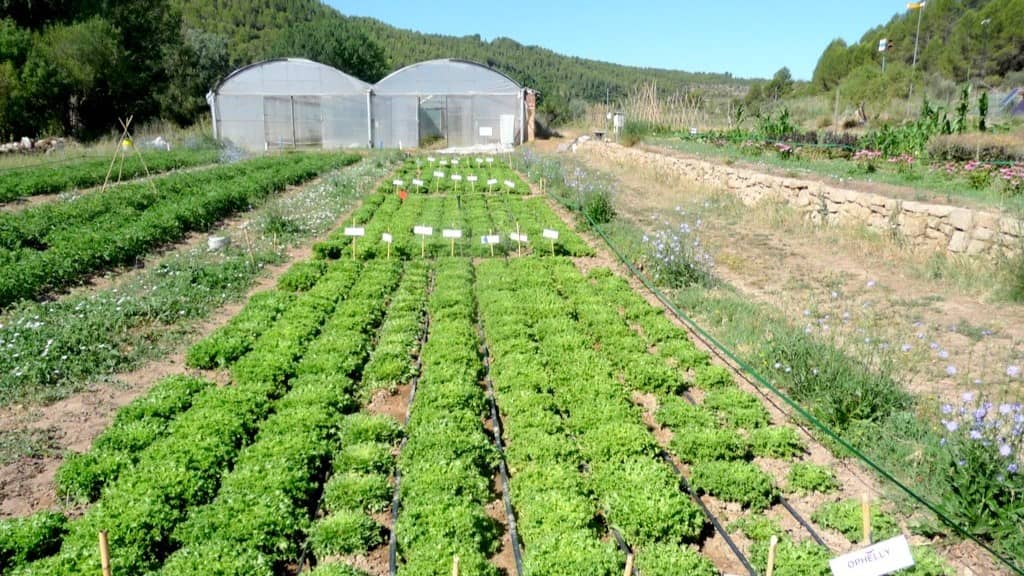 Escola Agrària de Manresa