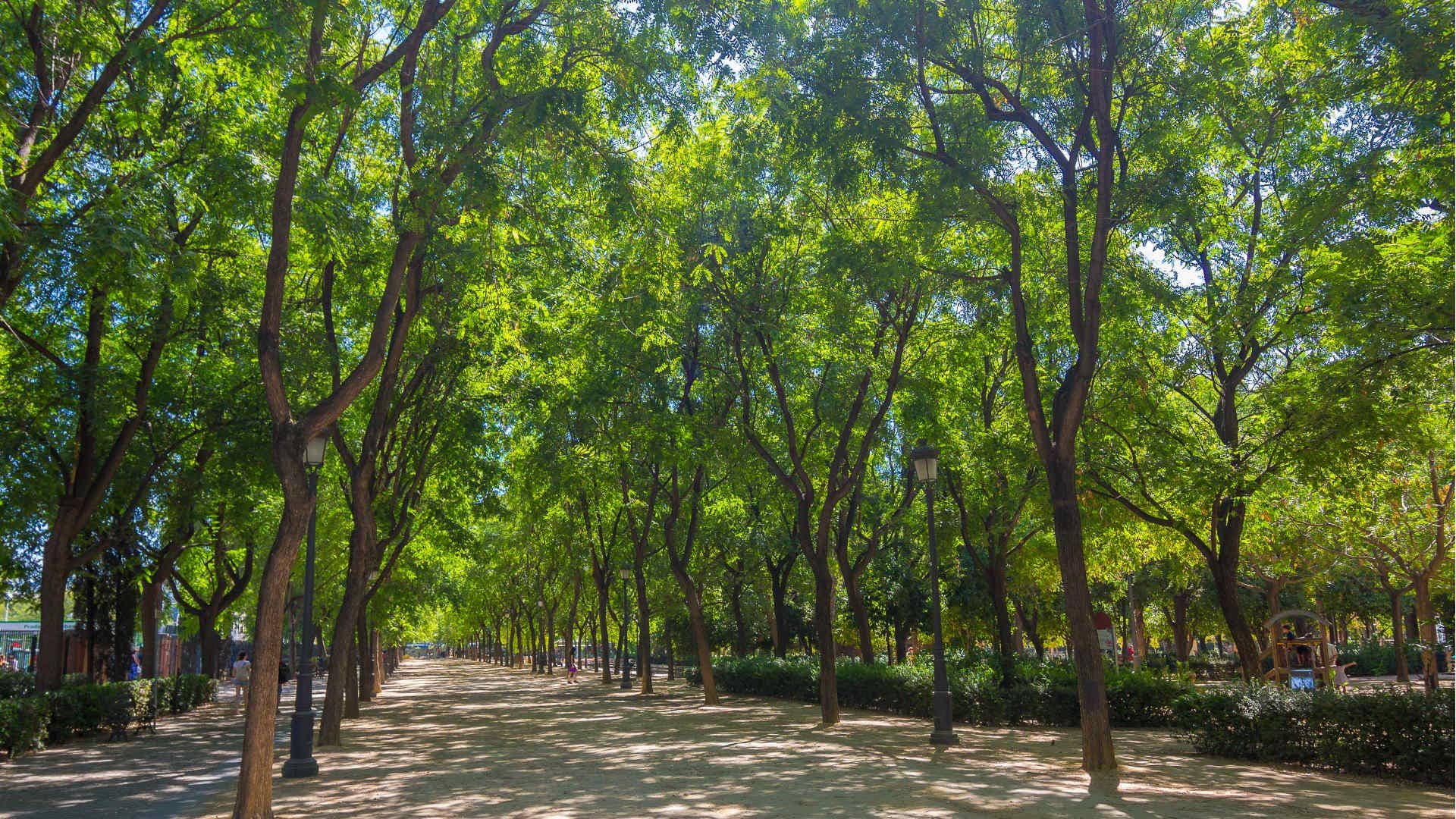 Jardines del Prado de San Sebastián