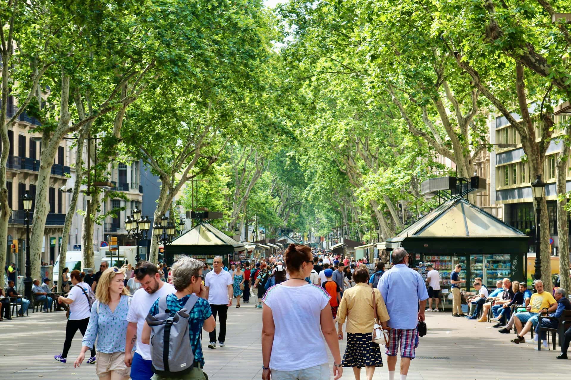 Festa Major de la Rambla - Festa del Roser