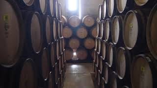 Visitas guiadas a la Tonelería Huberto Domecq