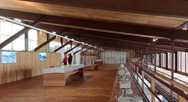 Visita Guiada - Museo Cerro de San Vicente