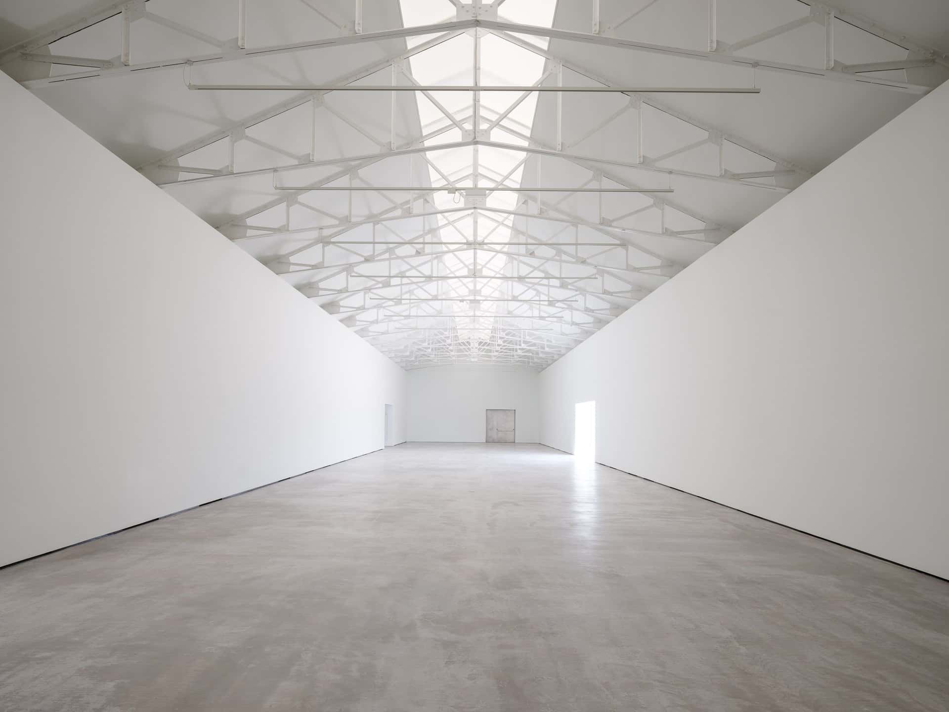 Visitas guiadas por Jaime Sordo a la exposición El abrazo. Mujeres artistas, obra, voz y rostro